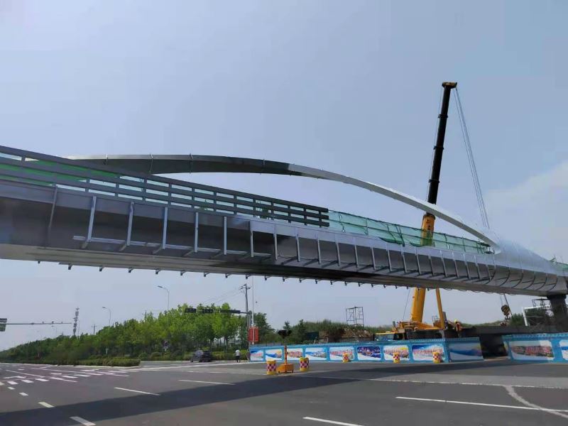 pedestrian bridge (1)